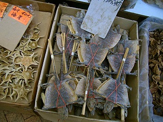 Getrocknete Flederm�use