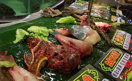 Seeteufel, Krokodil und mehr...