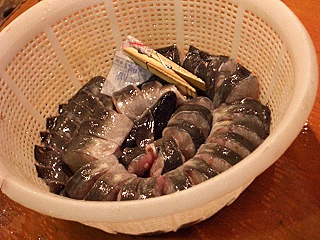 Schlange oder Aal? Zuckte noch!