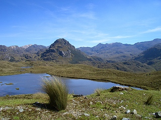 Beim Spaziergang im Hochland