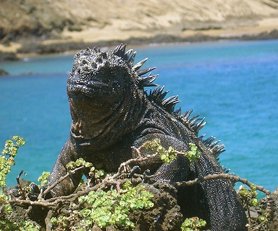 Bin ich nicht h�bsch?!