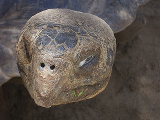 In der Ruhe liegt die Kraft
