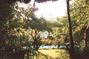 Garten mit Swimming-Pool