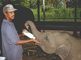 6-mal t�glich Flasche!