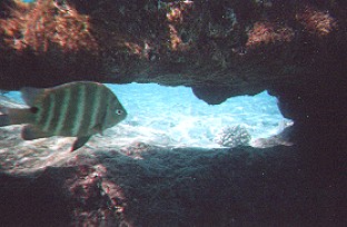 Ob der da durch passt?