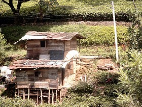 Da wohnt wirklich jemand drin!