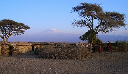Massai-Dorf mit Kili im Hintergrund