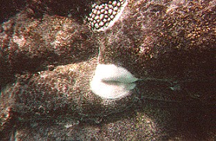 Es geht wieder langsam los!