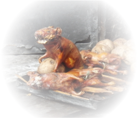 Die Nationalspeise in Peru: Meerschweinchen gegrillt !