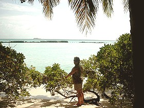 Blick auf die Ostseite der Insel
