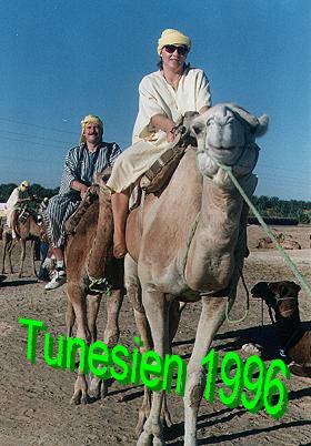 Ausritt in die Sahara