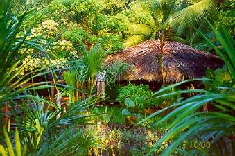 Direkt ins Orinoco-Delta